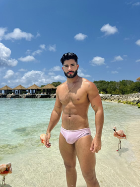 Aruba Caribbean gay cruise