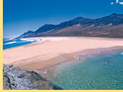 Fuerteventura - Canary Islands gay cruise