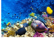 Tahiti gay cruise - Bora Bora