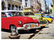 Cuba Lesbian Tour - Cuba cars
