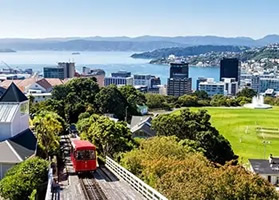 Wellington, New Zealand lesbian cruise