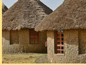 Simien Lodge, Simiens