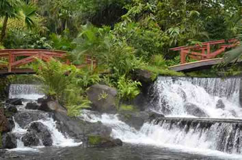 Costa Rica Gay Tour - Tabacon Thermal Spa hot springs