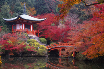 Gay Kyoto Japan Tour