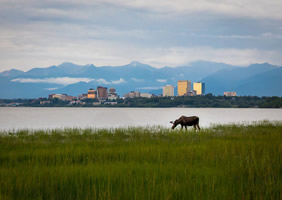Anchorage, Alaska gay bears cruise