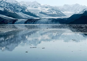 Alaska gay bears cruise - College Fjord
