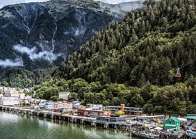 Alaska gay bears cruise - Juneau
