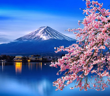 Cherry Blossom Japan gay cruise