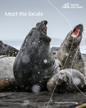 Antarctic Meet the locals