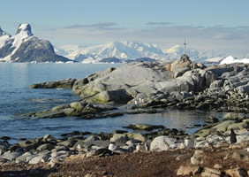 South Shetland Islands, Antarctic