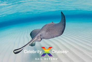 Celebrity Cayman Islands gay cruise