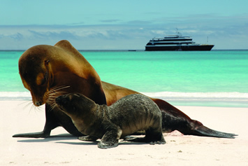 Galapagos Islands Gay Cruise