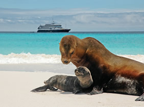 Galapagos Islands gay cruise travel