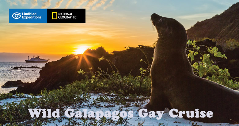 Wild Galapagos Gay Cruise 2024