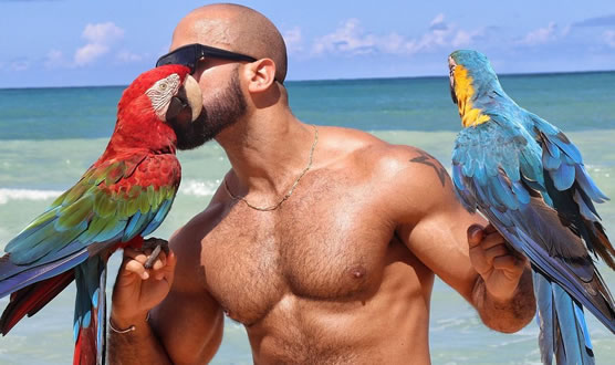 Caribbean Gay Bears Cruise