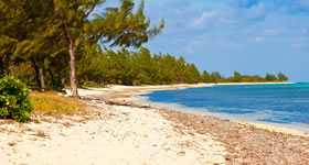 Caribbean gay bears cruise - Grand Cayman