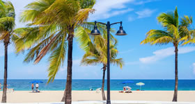 Caribbean bears cruise from Fort Lauderdale