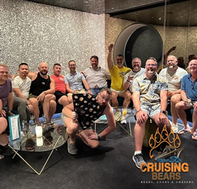 Cruising Bears group