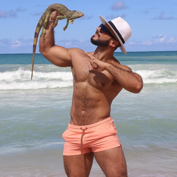 Gay Bears Caribbean cruise 2027