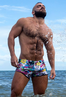 Gay bears Caribbean cruise