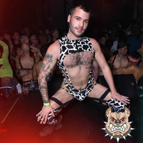 Pitbull gay cruise party