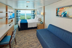 Freedom of the Seas - Spacious Panoramic Ocean View Stateroom