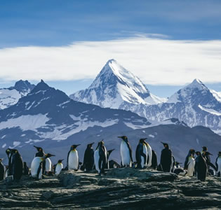 Antarctica gay expedition