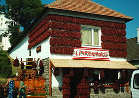 Bulgaria gay cruise - Paprika house