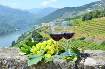 Douro Valley wine gay cruise