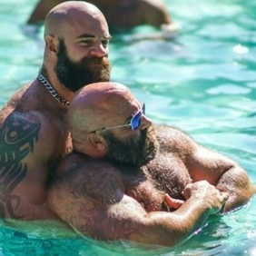 Bears gay cruise