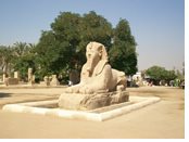 Egypt Gay Tour - Memphis