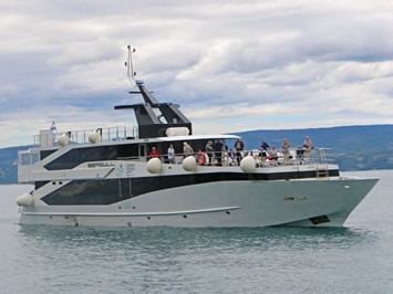 Seagull Croatia naturist cruise
