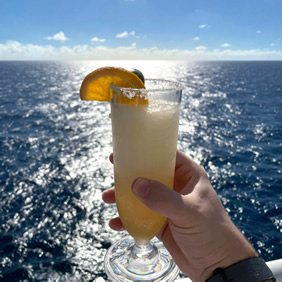 Princess Gay Caribbean cruise