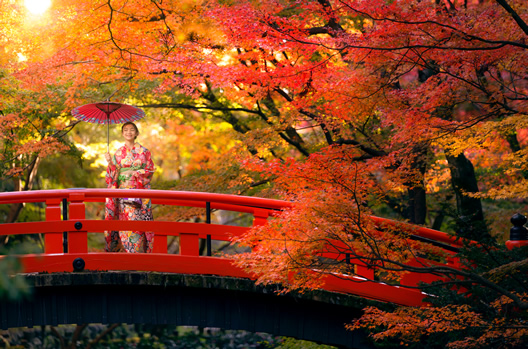Japan Foliage Gay Cruise