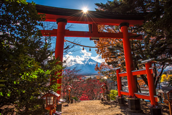 Japan fall gay cruise
