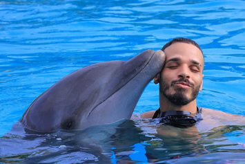 Gay Mexican Riviera cruise