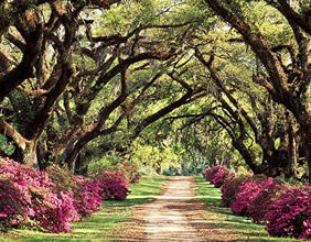 Darrow, Louisiana Gay trip
