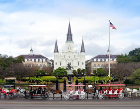 Gay New Orleans cruise