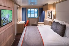 Nieuw Statendam Oceanview Stateroom