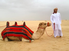 Arabia gay cruise