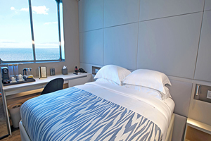 Emerald Kaia Oceanview Stateroom