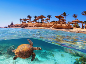 Egypt gay cruise - Sharm El Sheikh