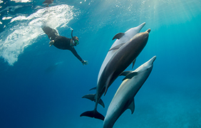 Seychelles gay cruise - Grande Soeur
