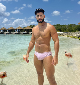 Caribbean Aruba gay cruise