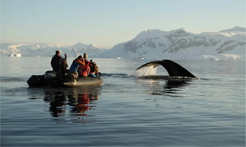 Antarctica gay adventure
