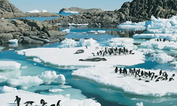 Antarctica gay expedition cruise