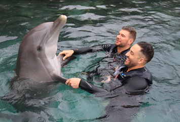 Bermuda gay cruise holidays