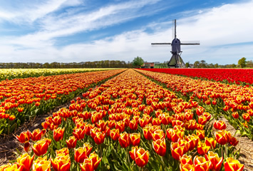 Netherlands gay river cruise