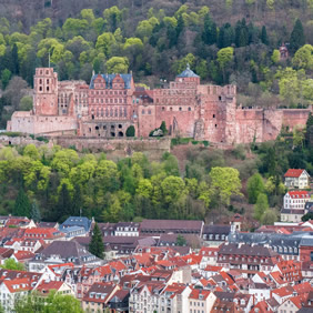 Rhine Gay Cruise - Heidelberg