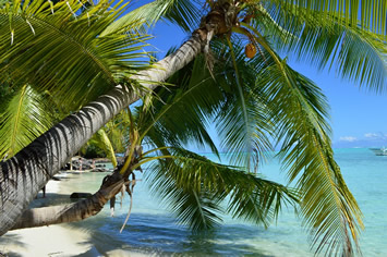 Bora Bora adults cruise